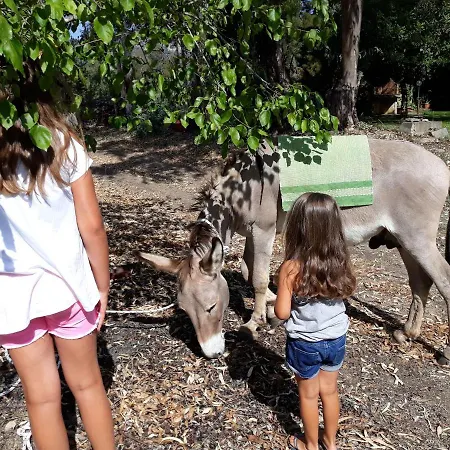 Bed & Breakfast Is Murdegus