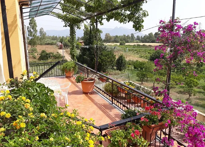 Is Murdegus 3* トルトリ