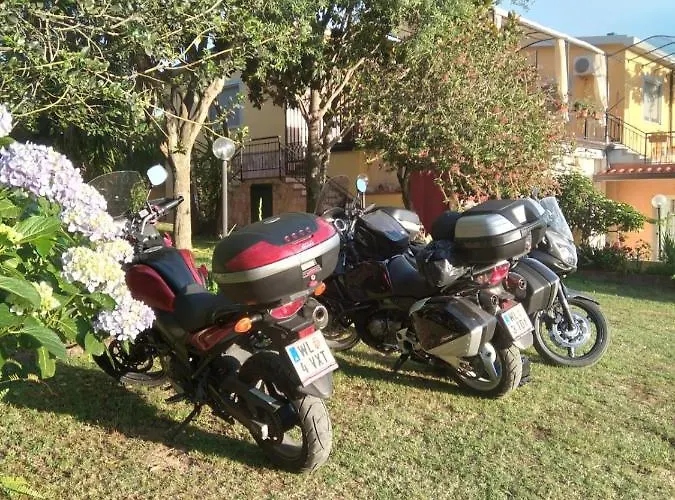 Is Murdegus 3* トルトリ