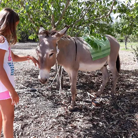 Is Murdegus Tortolì