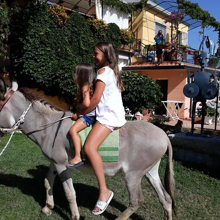 לינה וארוחת בוקר Is Murdegus 3*