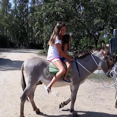 Is Murdegus Tortolì