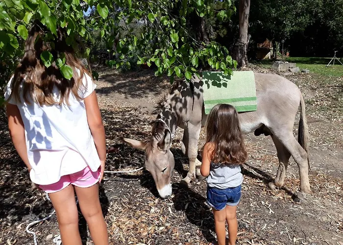 Bed & Breakfast Is Murdegus