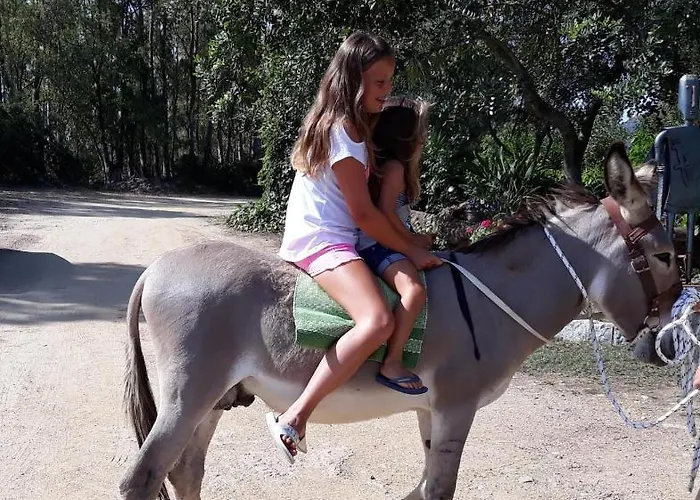 Is Murdegus Tortolì